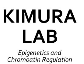 木村研究室 東京工業大学 大学院生命理工学研究科 木村宏教授 KIMURA LAB